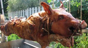 Roasted Pig Toronto