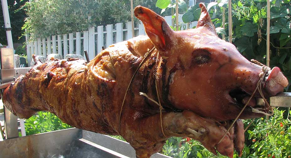 Roasted Pig Toronto